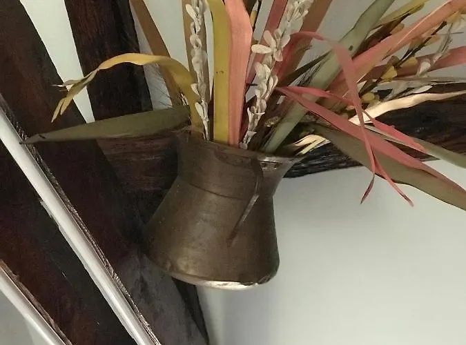 Appartement Canele *